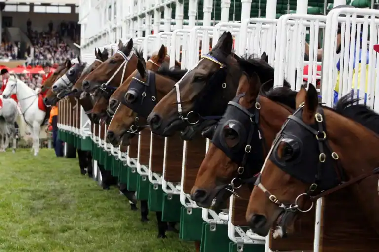 Keeneland Battaglia Picks